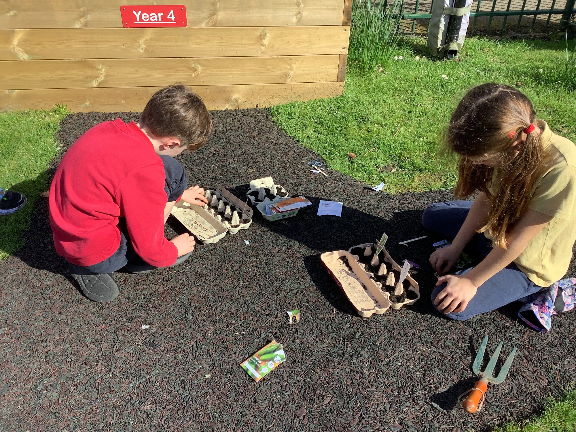 Children planting seeds and plants.